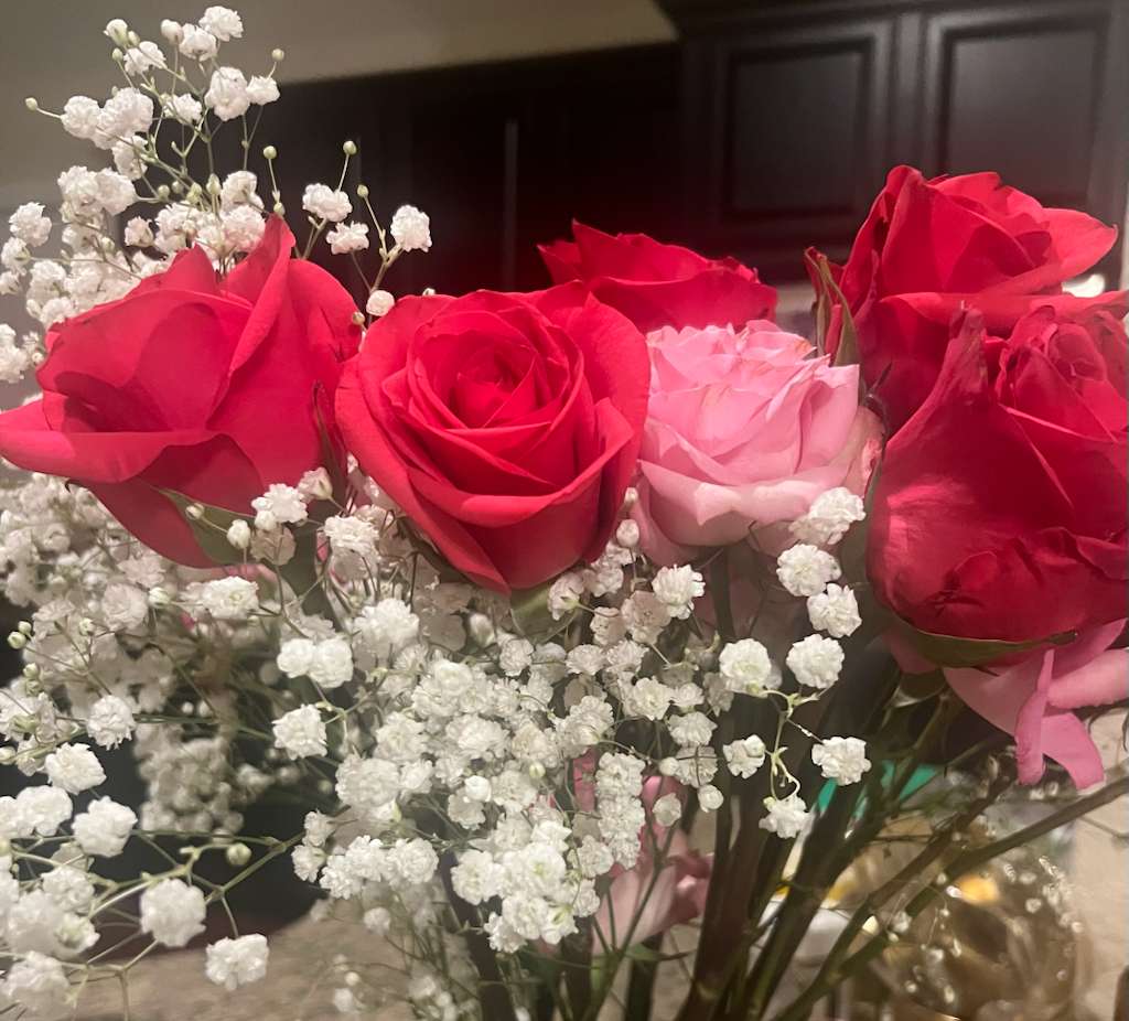 WhatsApp Image 2026 01 14 At 8.31.35 PM